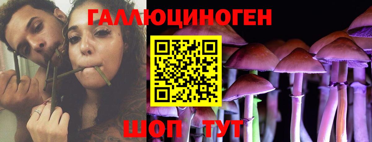 Галлюциногенные грибы Magic Shrooms Междуреченск